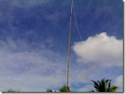 Antenna mast  guy wires